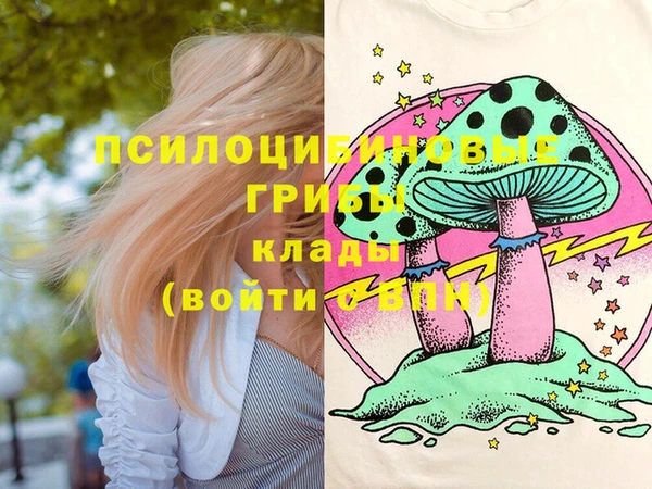 jwh Вязьма