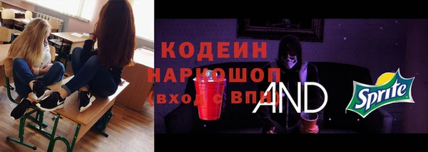 прущая мука Вяземский