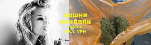 прущая мука Вяземский