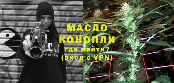 крисы Горняк