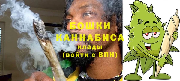 прущая мука Вяземский