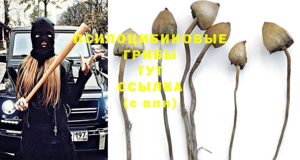 прущая мука Вяземский