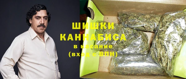 прущая мука Вяземский
