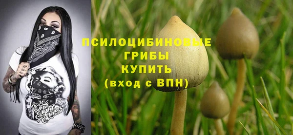 прущая мука Вяземский